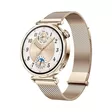HUAWEI WATCH GT5 41MM GOLD - Sykemittarit ja -tarvikkeet - 6942103131981 - 1