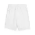 Puma TeamGOAL Shorts Jr - Lasten shortsit - 705753 - 2