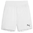 Puma TeamGOAL Shorts Jr - Lasten shortsit - 705753 - 1