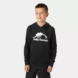 Helly Hansen Jr HH Graphic Hoodie - Lasten paidat - 41716 - 1