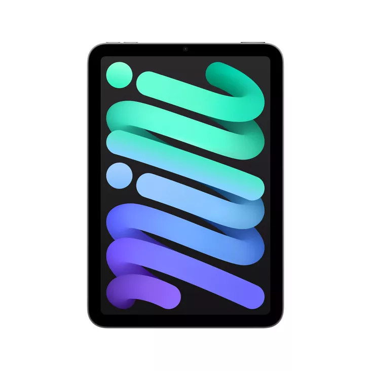 APPLE iPAD MINI WIFI 256GB SPACE GREY - Tabletit ja iPad - 195949729867 - 1