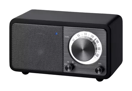 default - Analoginen radio - 4711317995069 - 1