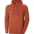 Helly Hansen Box Hoodie - Miesten paidat - 53289 - 4
